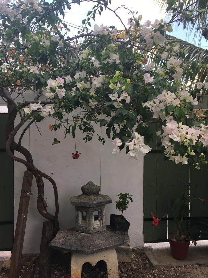 דירות קנקון Violeta'S House מראה חיצוני תמונה